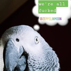 Meet your Posher, Karolin